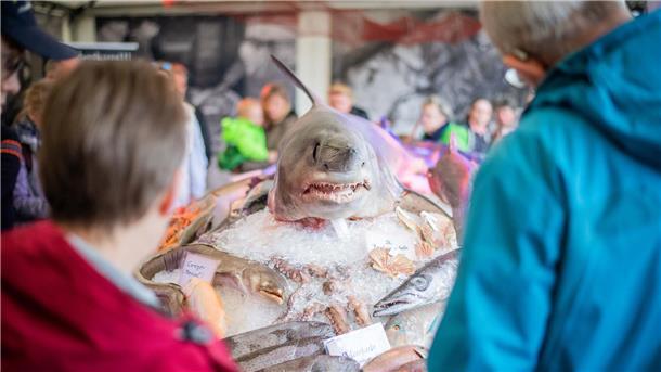 Hi, Fisch! Bilder der Fischparty im Fischereihafen Bremerhaven (mit Sonntag) Wie in jedem Jahr ist das Fischbett ein echter Hingucker und Publikumsmagnet.