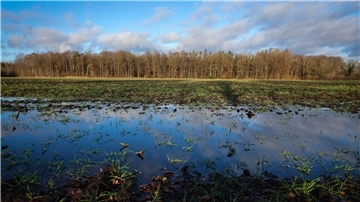 Wie viel Wasser darf’s denn sein? Um die Vernässung der Moorböden ist ein erbitterter Streit entbrannt.