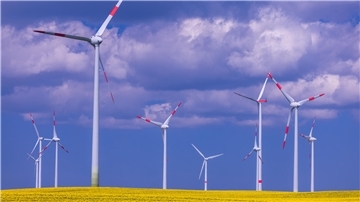 Windkraft-"Spargel" dicht an dicht. Auch in einigen Regionen im Landkreis Cuxhaven ist das kein unvorstellbarer Zustand mehr.
