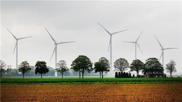 Windkraftanlagen hinter Feldern.