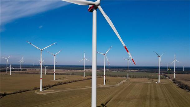Niedersachsen bei Windkraft-Ausbau weit vorn Windräder drehen sich in einem Windpark.