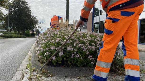Mitarbeiter des Nordenhamer Bauhofs pflegen eine Verkehrsinsel in Nordenham.