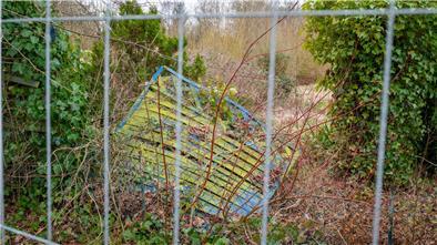 Wird hier noch gebaut? Seit 2018 ist das mögliche Baugebiet Ackmann eine verwilderte Fläche am Reuterhamm. Früher war es Kleingartengebiet.