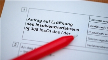 Wird vermehrt benötigt: Formular für den Insolvenzantrag.