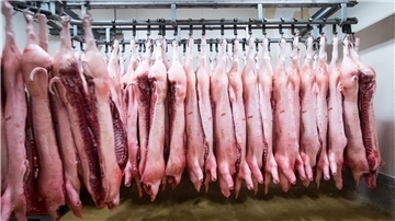Wohl als Reaktion auf die von der EU angedrohten Strafzölle auf chinesische E-Autos hat China eine Anti-Dumpinguntersuchung gegen Schweinefleisch aus der EU angekündigt.