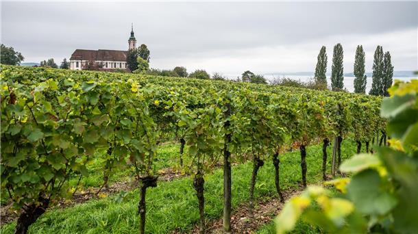 Oktober-Bilanz: Trüber und nasser Herbstmonat Wolkenverhangen zeigten sich große Teile Deutschlands in diesem Monat. (Archivbild)