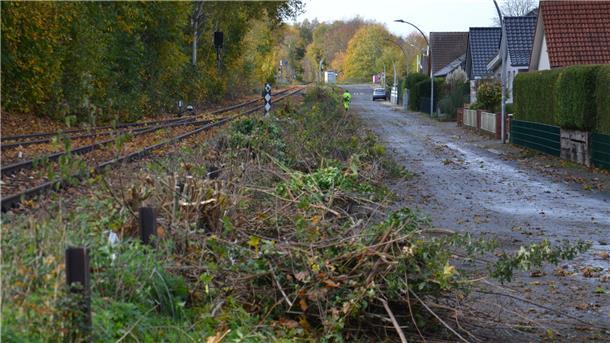 Wut, Trauer und Entsetzen spüren Anwohner der Straße An der Kleinbahn in Zeven ob des radikalen Gehölzrückschnitts vor der Haustür.