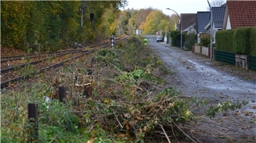 Wut, Trauer und Entsetzen spüren Anwohner der Straße An der Kleinbahn in Zeven ob des radikalen Gehölzrückschnitts vor der Haustür.