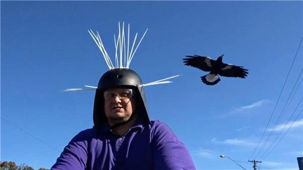 Magpies: Australiens überraschende Angreifer aus der Luft Youtuber Daniel Fitzgerald testet seinen Anti-Magpie-Helm.
