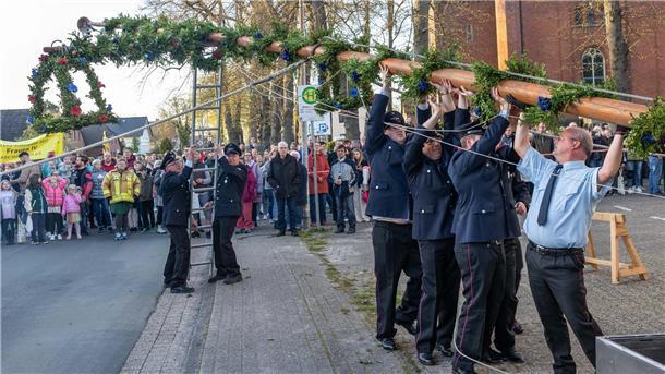 Der Mai ist gekommen: Butjadingen bereitet dem Wonnemonat gebührenden Empfang Zahlreiche Schaulustige beobachteten das Maibaumsetzen in Stollhamm. Es klappte wie am Schnürchen.