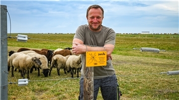 Zaunbau ist fertig: Schafhalter Uwe Steffens in Dorum-Neufeld weiß nun seine Tiere sicher behütet.