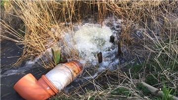 Zerstörtes Überlaufrohr an der Gemeindepütte Tossens. Dieser Schaden führte zu einem starken Abfall des Wasserstandes. Die Reparatur war, so der Fischereiverein, aufwendig.