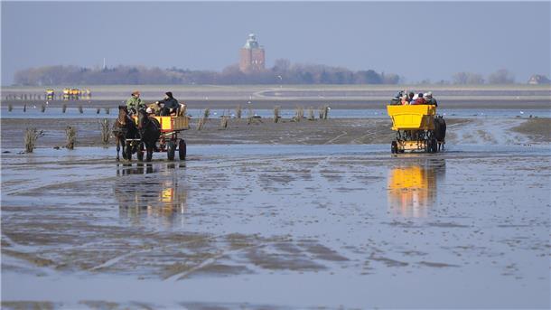 Ziel in Sicht: Am Horizont ist die Insel Neuerk zu erkennen.