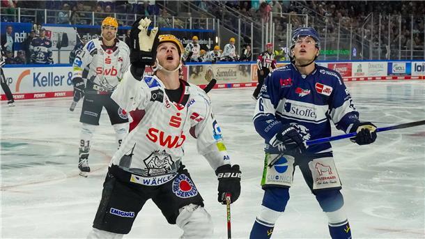 Ziga Jeglic und die Fischtown Pinguins (links) und auch die Straubing Tigers haben den Blick nach oben gerichtet. Mit beiden Teams stehen aktuell neben Berlin Außenseiter an der Tabellenspitze.