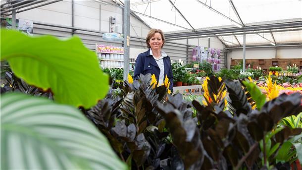 Zimmerpflanzen liegen seit Beginn der Pandemie wieder im Trend, sagt Geschäftsführerin Svenja Wassenaar vom gleichnamigen Gartencenter.