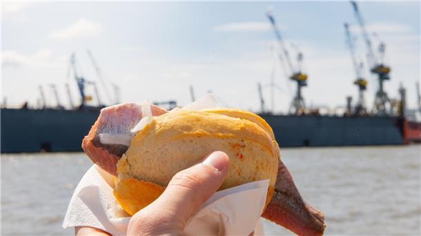 Städtetrip nach Hamburg: Fakten & Tipps Matjes Fischbrötchen in der Hand