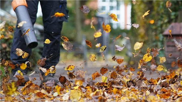Abstimmung: Zürich erlaubt Laubbläser nur noch im Herbst Zürich will den Einsatz nur noch von Oktober bis Dezember erlauben. (Symbolfoto)