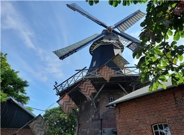 Mühle