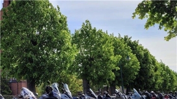 Zum ersten Mal nach Corona erbittet die Biker-Szene Bremerhavens wieder den himmlischen Segen - gerade für Motorradfahrer ein wichtiges "Schutzritual". Organisiert wird der Tag von der katholischen Kirche Bremerhaven.