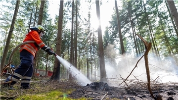 Waldbrandgefahr steigt zum Wochenende Zum Sommeranfang mit den erwarteten hohen Temperaturen steigt die Waldbrandgefahr in Niedersachsen. (Symbolbild)