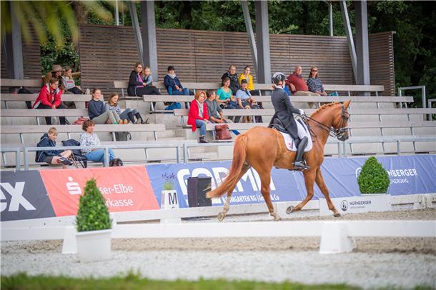 Regen, Wettkämpfe und Showreiten: Das sind die Elmloher Reitertage in Bildern Zuschauer blicken auf das Dressurviereck 1.