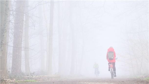 Zwei Fahrradfahrer fahren bei dichtem Nebel durch den Stadtwald Eilenriede.