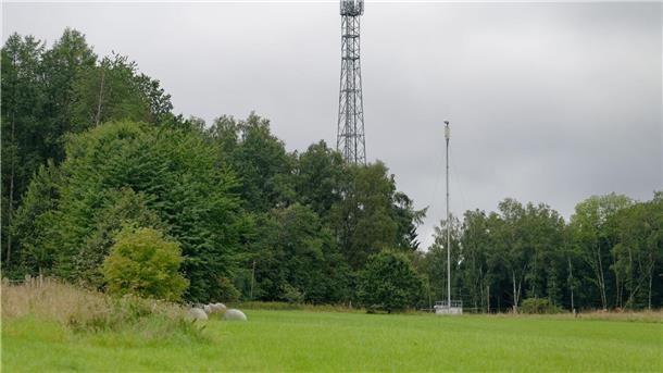 Erstmals Bußgeldverfahren gegen Handynetzbetreiber eröffnet Zwei Funkmasten stehen am Waldrand im Westerwald.