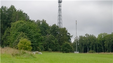 Zwei Funkmasten stehen am Waldrand im Westerwald.