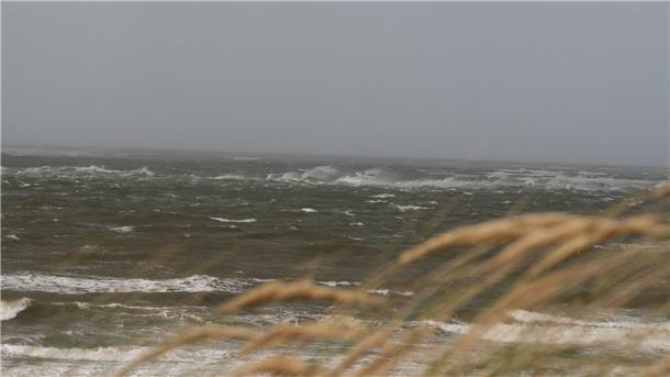 Seenotretter befreien Segler vor Norderney Zwei Segler geraten vor der Insel Norderney in Seenot. (Symbolbild)