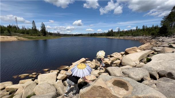 Wandern mit Umleitung: Hirtenstieg im Harz wird gesperrt Zwei Touristen klettern mit Regenschirmen als Sonnenschutz über Steine am Ostufer vom Oderteich.