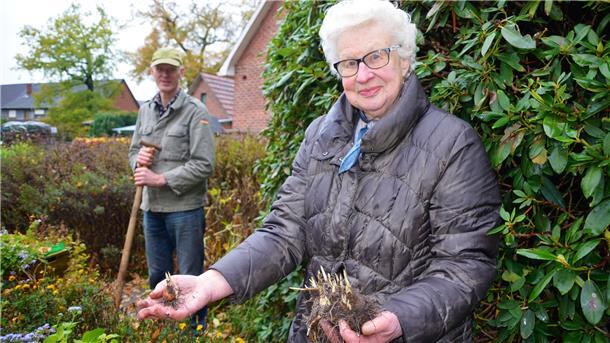 Zwiebel für Zwiebel versenkt Martha Kück in der dunklen braunen Erde, Dieter Kück unterstützt seine Mutter tatkräftig mit dem Spaten. Zahllose Blüten werden die Mitbürger im kommenden Frühjahr an der Hauptstraße erfreuen.