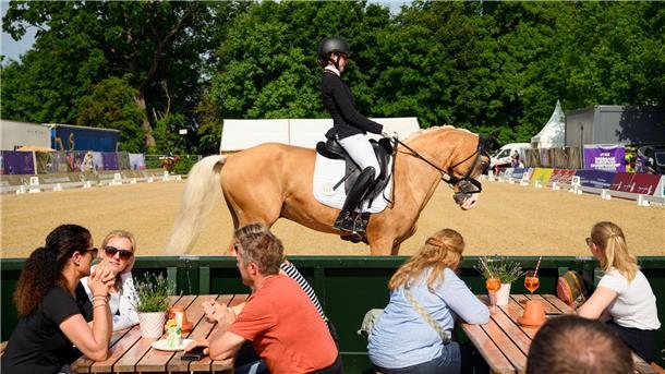 Zwischen Besuchern: Reiterin reitet zum Aufwärmen vorbei