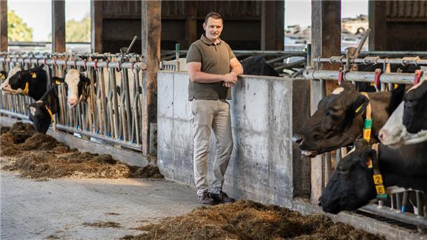 Landwirt im Kuhstall