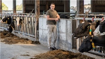 Landwirt im Kuhstall