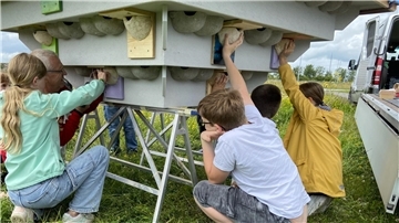 Zwölf der 88 Schwalbennester haben die Schülerinnen und Schüler der Umwelt-AG Green Age des Braker Gymnasiums gebaut.
