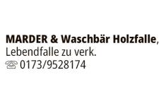 Anzeige